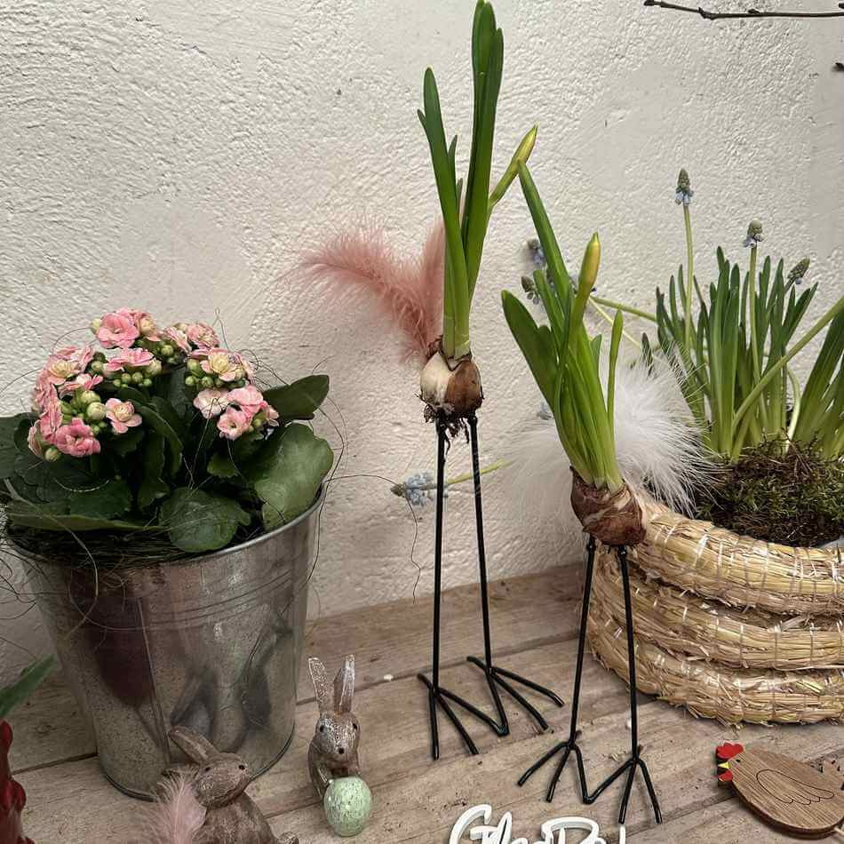 Lökfötter / Kycklingfötter, 2 par, 15-20 cm 